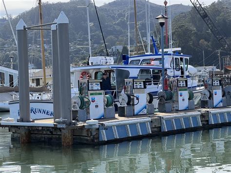 blue runner sportfishing sausalito.